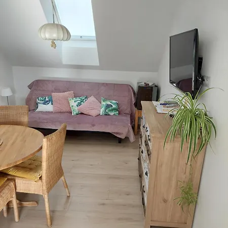Apartmán U Rybníčku